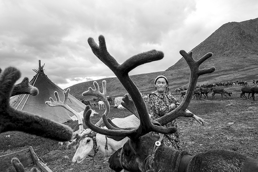 Nenets reindeer herders’ camp. Yamal Peninsula, Siberia, Russia
