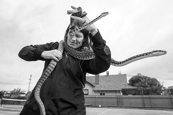 Snake rescuer. Numurkah, Victoria, Australia