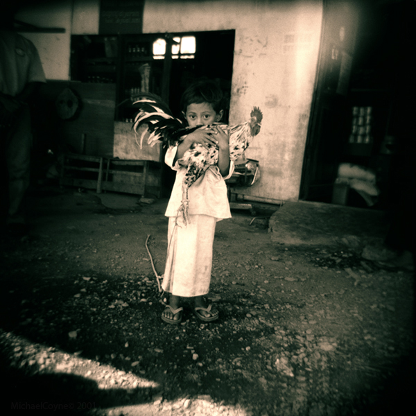 Boy with chicken - Filmed with a Holga camera, at the time of East Timor’s independence.