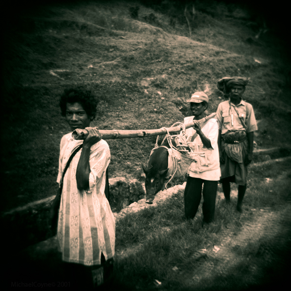 Heading to market - Filmed with a Holga camera, at the time of East Timor’s independence.